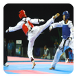 Taekwondo icon