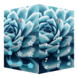 Icon of program: AppLock Theme Succulent …