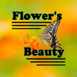 程序图标：Flowers Beauty