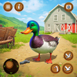 Programikonen: Talking Duck