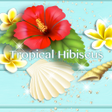 Programikonen: Tropical Hibiscus-Wallpap…