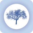 Programikonen: Eldermark - Point of Care