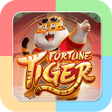 Programikonen: Comfort  Slots