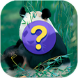 程序图标：Guess the name of the ani…