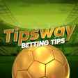프로그램 아이콘: Tipsway