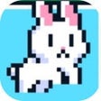 Programikonen: animal arena