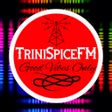 プログラムのアイコン：TriniSpiceFM