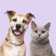 程序图标：Dog Sound Simulator