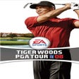 Tiger Woods PGA Tour 08 icon