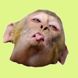Programikonen: Indian Meme Soundboard 20…