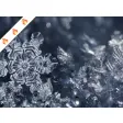 Snowflakes HD Wallpaper New Tab Theme