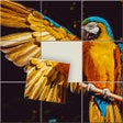 程序图标：Jigsaw Sort:Jigsaw puzzle…