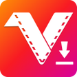 程序图标：Video Downloader