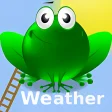 Weather Frog