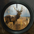 程序图标:Hunting Simulator: Sniper
