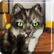 プログラムのアイコン：Talking Cat Funny