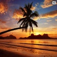 Programikonen: My Hawaiian Sunset HD Wal…