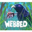 程序图标：Webbed
