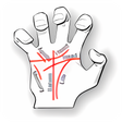 Icône du programme : Hand Reading Pro
