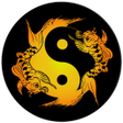 Symbol des Programms: Acupuncture Assistant