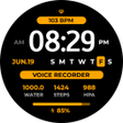 Ikona programu: EXD204: Personal Watch Fa…