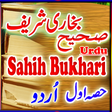 程序图标：Bukhari Sharif Part One U…