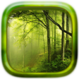Programikonen: Picture Puzzle: Forest