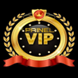 Symbol des Programms: PAINEL VIP X2.5