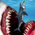 Megalodon shark fish eater