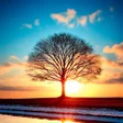 Nature Wallpaper HD Collection icon