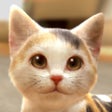 Ikona programu: with My CAT