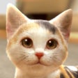 プログラムのアイコン：with My CAT
