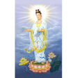Programikonen: Goddess Of Mercy 观世音菩萨 结缘
