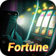 Fortune FlashLight icon