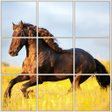 Icon of program: 15 Puzzle Challenge