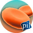 Ikona programu: PI VR Human Body
