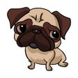 Icoon van programma: Pet Emoji Keyboard.