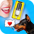 プログラムのアイコン：Dog Translator Simulator