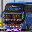 Programikonen: Full Strobe and Doll Buss…