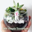 程序图标：DIY Simple Terrarium