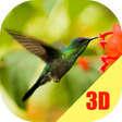 Programikonen: Birds Flying Live Wallpap…