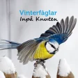 Vinterfåglar Inpå Knuten
