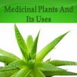 程序图标：Medicinal Plants and Its …