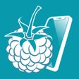 プログラムのアイコン：RaspController