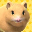 Icon of program: Play with your hamster