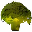 Ícone do programa: Broccoli, for Terms of Se…