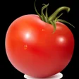أيقونة البرنامج: VIP TOMATO VPN