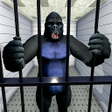 Programikonen: Gorilla Escape City Jail …