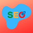 Icône du programme : SEO On Page Analyzer