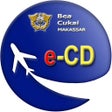 Ikon program: e-CD (Customs Declaration…